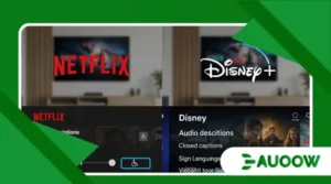 The Rise of Accessibility in Streaming Services: Netflix vs Disney+