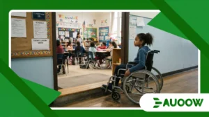 Why inclusive education observatories matter for school policy